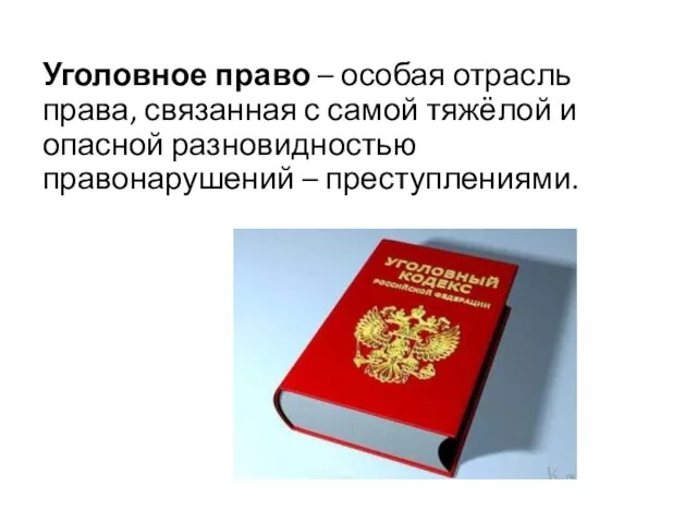 Уголовное право – особая отрасль права, связанная с самой тяжёлой и опасной разновидностью правонарушений – преступлениями.