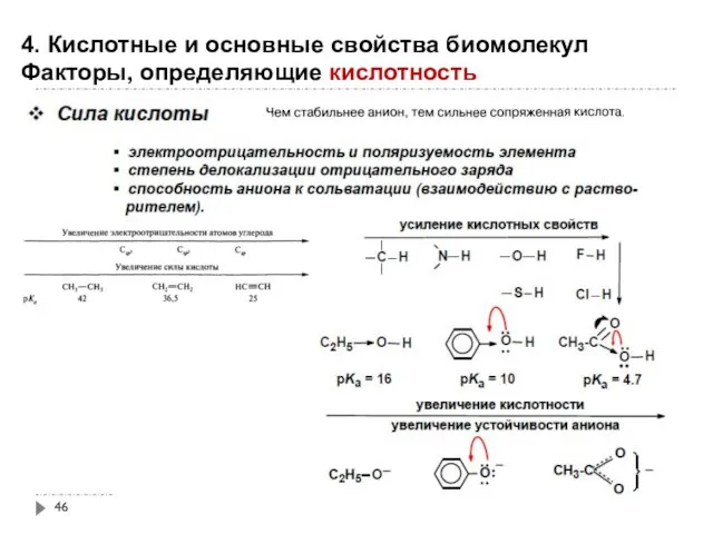 4. Кислотные и основные свойства биомолекул Факторы, определяющие кислотность