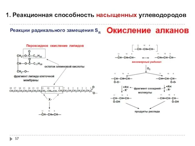 1. Реакционная способность насыщенных углеводородов Реакции радикального замещения SR