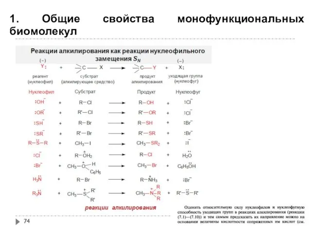 1. Общие свойства монофункциональных биомолекул