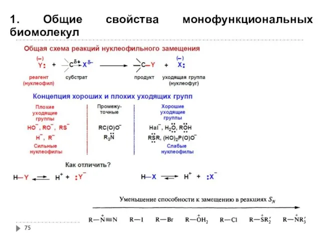 1. Общие свойства монофункциональных биомолекул