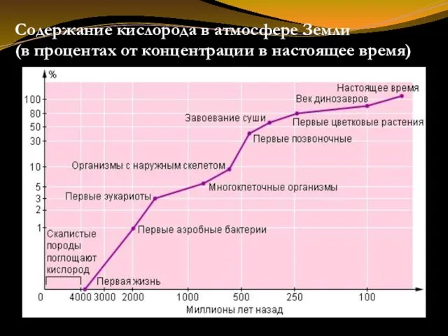 Содержание кислорода в атмосфере Земли (в процентах от концентрации в настоящее время)