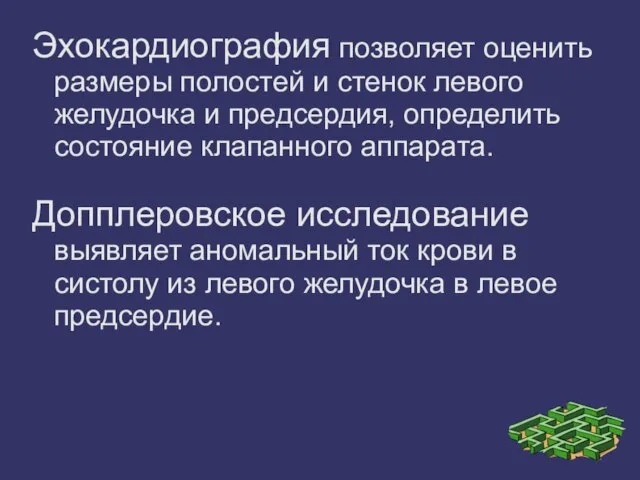 Эхокардиография позволяет оценить размеры полостей и стенок левого желудочка и предсердия,