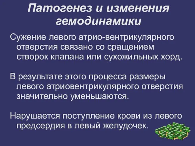 Патогенез и изменения гемодинамики Сужение левого атрио-вентрикулярного отверстия связано со сращением