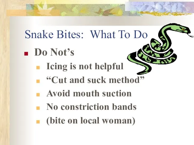 Snake Bites: What To Do Do Not’s Icing is not helpful