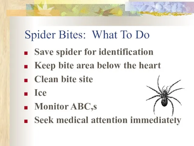 Spider Bites: What To Do Save spider for identification Keep bite