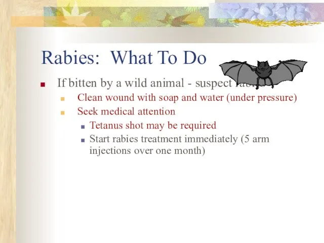 Rabies: What To Do If bitten by a wild animal -