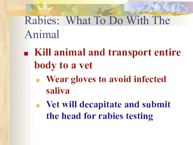 Rabies: What To Do With The Animal Kill animal and transport