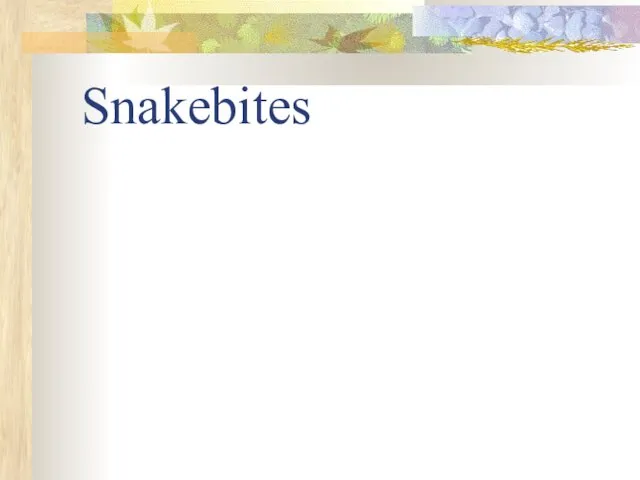 Snakebites