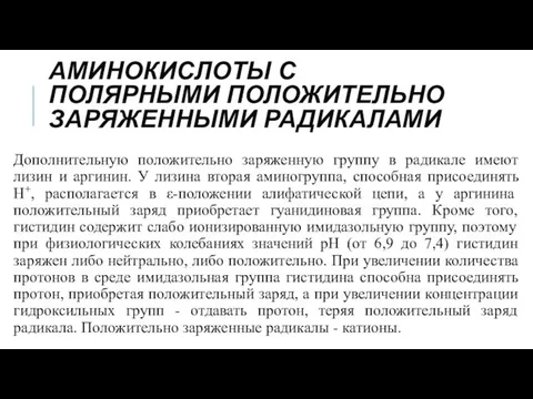 АМИНОКИСЛОТЫ С ПОЛЯРНЫМИ ПОЛОЖИТЕЛЬНО ЗАРЯЖЕННЫМИ РАДИКАЛАМИ Дополнительную положительно заряженную группу в