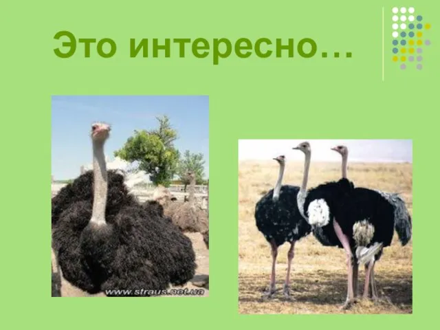 Это интересно…