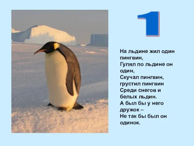 На льдине жил один пингвин, Гулял по льдине он один, Скучал