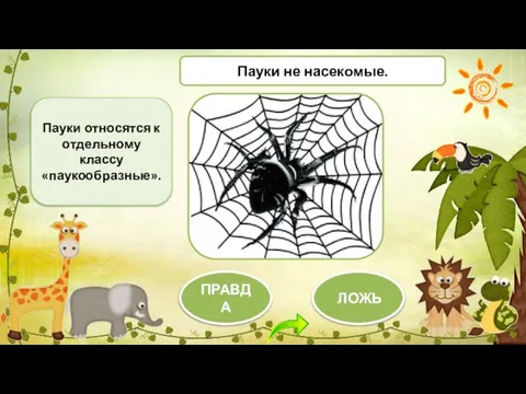 Пауки относятся к отдельному классу «паукообразные». ЛОЖЬ ПРАВДА Пауки не насекомые.