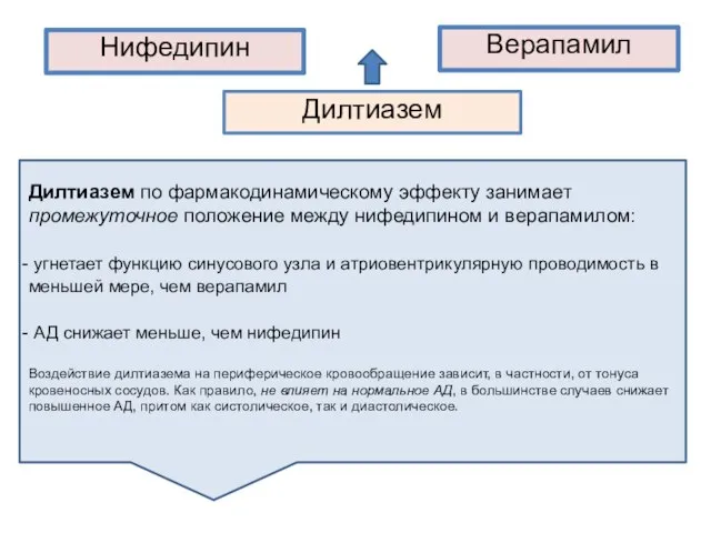 Нифедипин Верапамил Дилтиазем