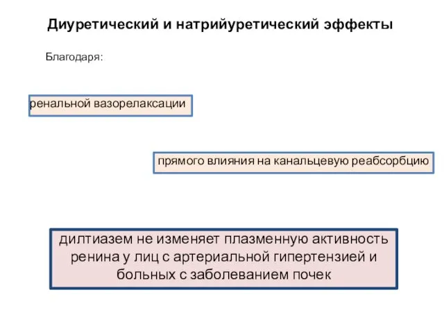 Диуретический и натрийуретический эффекты ренальной вазорелаксации Благодаря: прямого влияния на канальцевую