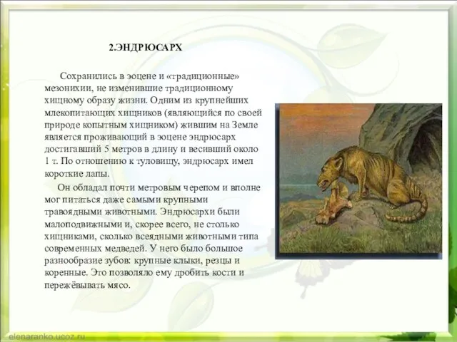 2.ЭНДРЮСАРХ Сохранились в эоцене и «традиционные» мезонихии, не изменившие традиционному хищному