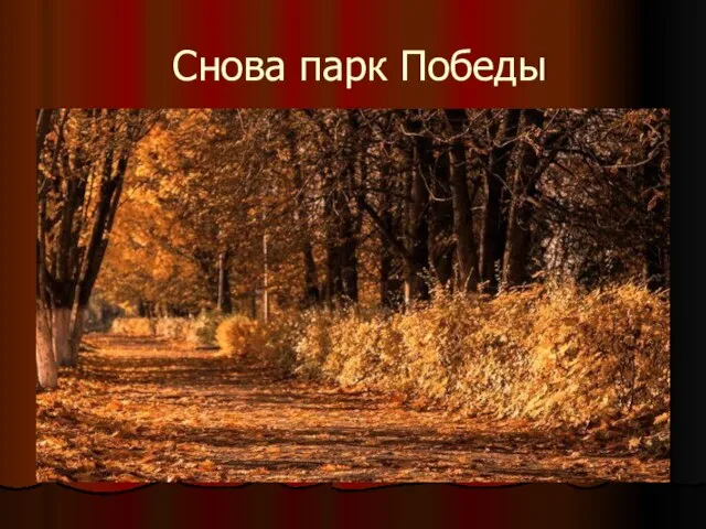 Снова парк Победы