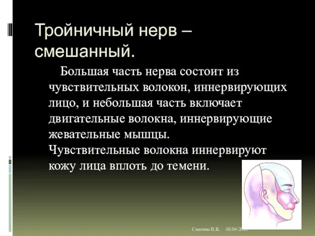 08/04/2023 Смагина И.В. Тройничный нерв – смешанный. Большая часть нерва состоит