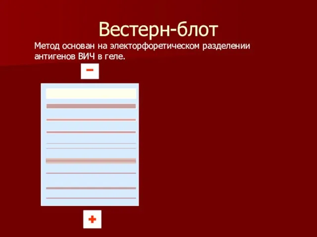 Вестерн-блот Метод основан на электорфоретическом разделении антигенов ВИЧ в геле.