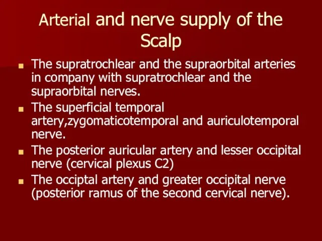 Arterial and nerve supply of the Scalp The supratrochlear and the