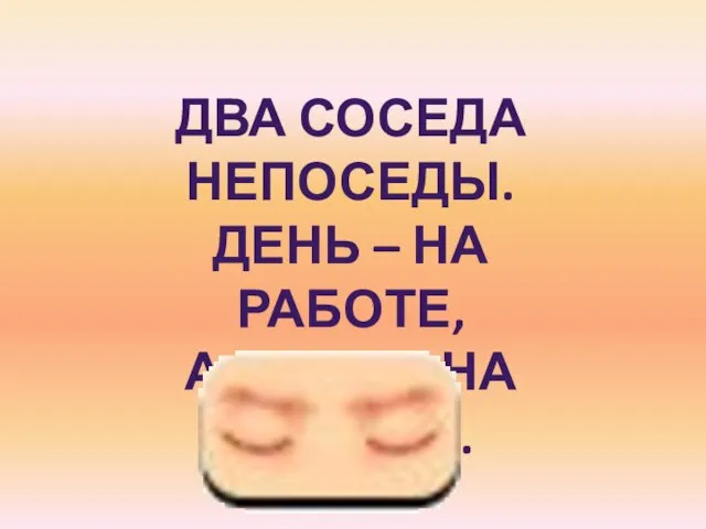 ДВА СОСЕДА НЕПОСЕДЫ. ДЕНЬ – НА РАБОТЕ, А НОЧЬ – НА ОТДЫХЕ.