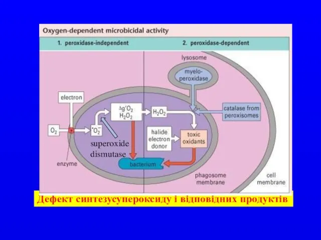 Дефект синтезусупероксиду і відповідних продуктів