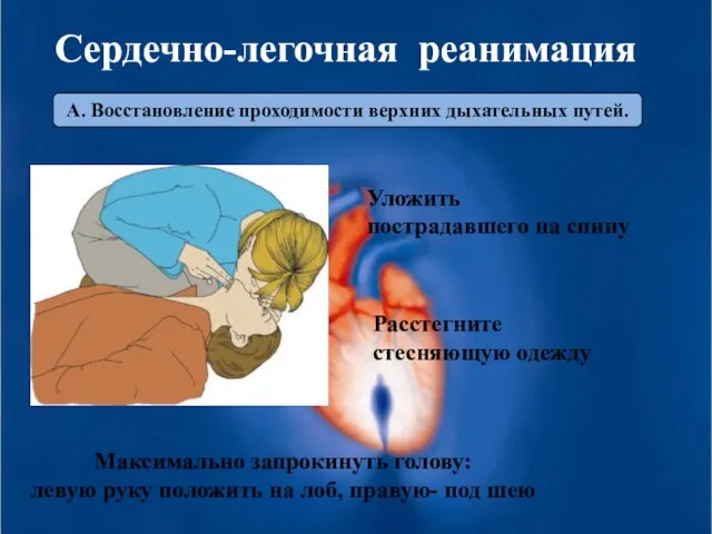 А. Восстановление проходимости верхних дыхательных путей. Уложить пострадавшего на спину Расстегните