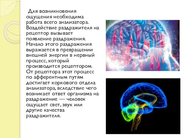 Для возникновения ощущения необходима работа всего анализатора. Воздействие раздражителя на рецептор