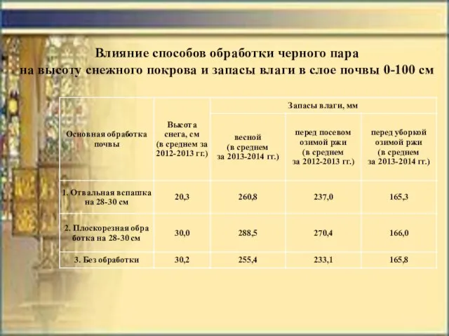 Влияние способов обработки черного пара на высоту снежного покрова и запасы