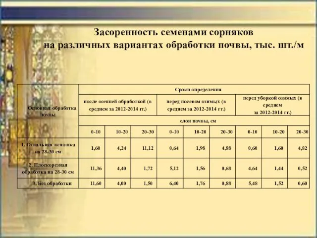 Засоренность семенами сорняков на различных вариантах обработки почвы, тыс. шт./м