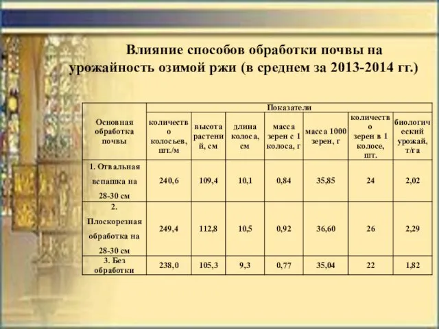 Влияние способов обработки почвы на урожайность озимой ржи (в среднем за 2013-2014 гг.)