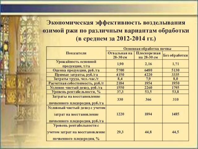 Экономическая эффективность возделывания озимой ржи по различным вариантам обработки (в среднем за 2012-2014 гг.)