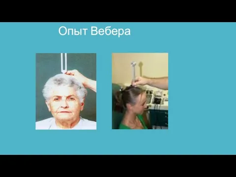 Опыт Вебера