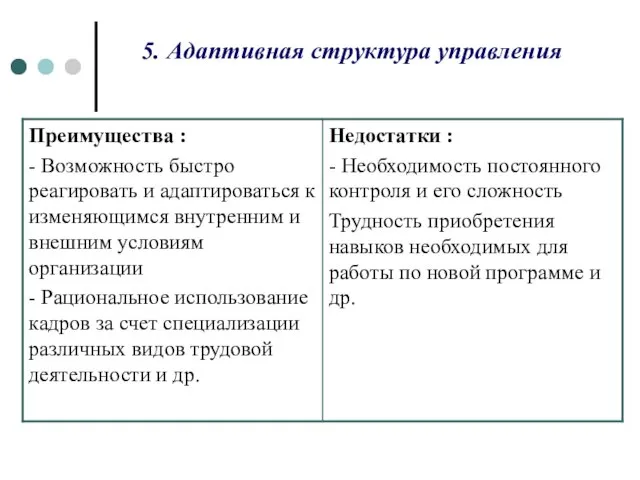 5. Адаптивная структура управления