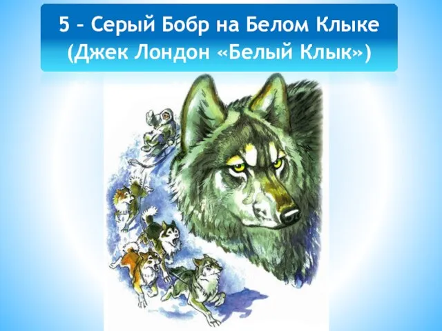 5 – Серый Бобр на Белом Клыке (Джек Лондон «Белый Клык»)