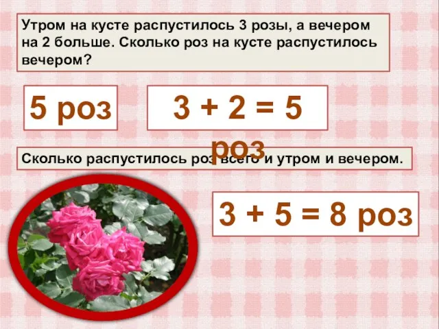 Утром на кусте распустилось 3 розы, а вечером на 2 больше.