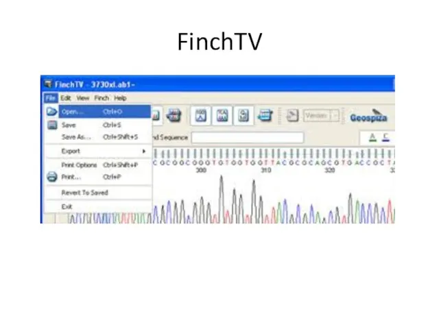 FinchTV