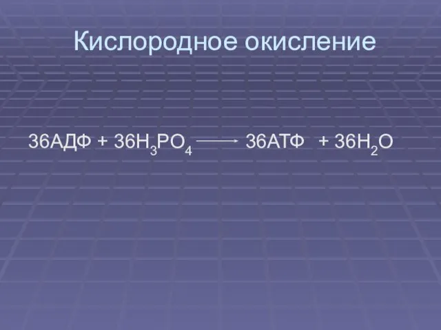 Кислородное окисление 36АДФ + 36Н3РО4 + 36Н2О 36АТФ