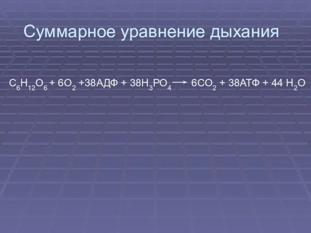 Суммарное уравнение дыхания С6Н12О6 + 6О2 +38АДФ + 38Н3РО4 6СО2 + 38АТФ + 44 Н2О