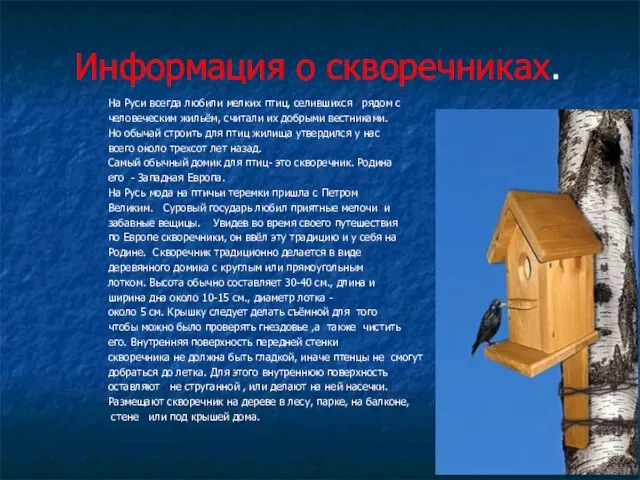 Информация о скворечниках. На Руси всегда любили мелких птиц, селившихся рядом