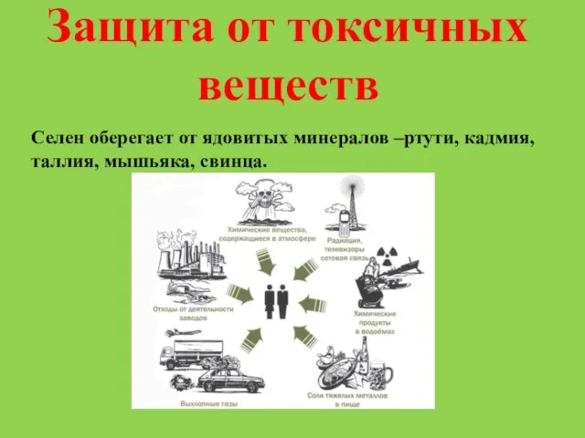 Защита от токсичных веществ Селен оберегает от ядовитых минералов –ртути, кадмия, таллия, мышьяка, свинца.