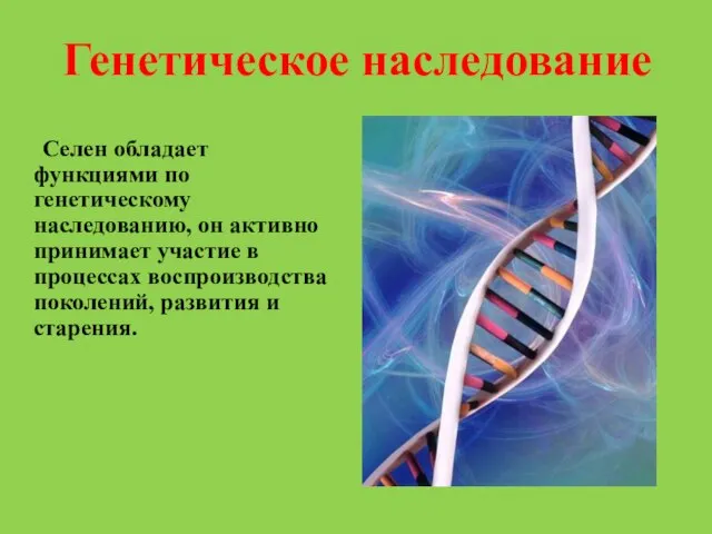 Генетическое наследование Селен обладает функциями по генетическому наследованию, он активно принимает