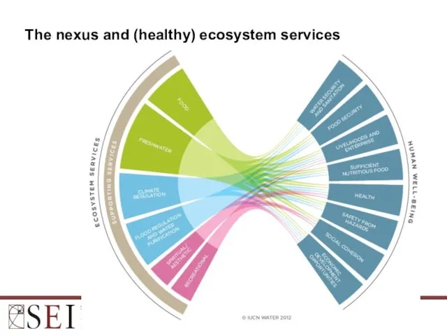 The nexus and (healthy) ecosystem services