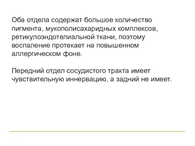 Оба отдела содержат большое количество пигмента, мукополисахаридных комплексов, ретикулоэндотелиальной ткани, поэтому