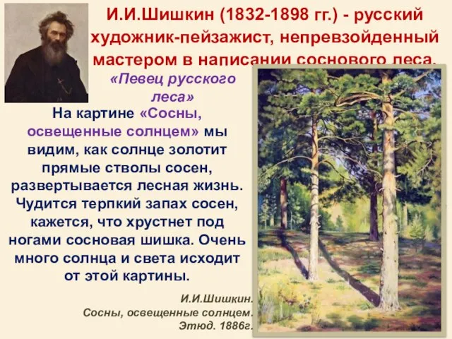 И.И.Шишкин (1832-1898 гг.) - русский художник-пейзажист, непревзойденный мастером в написании соснового