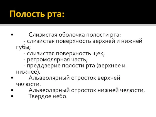 Полость рта: • Слизистая оболочка полости рта: - слизистая поверхность верхней