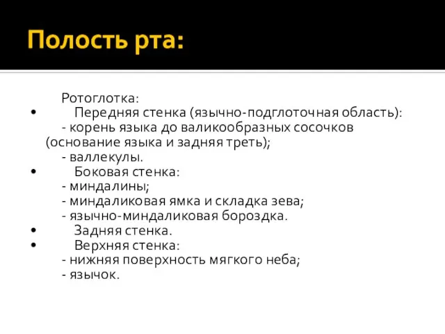 Полость рта: Ротоглотка: • Передняя стенка (язычно-подглоточная область): - корень языка