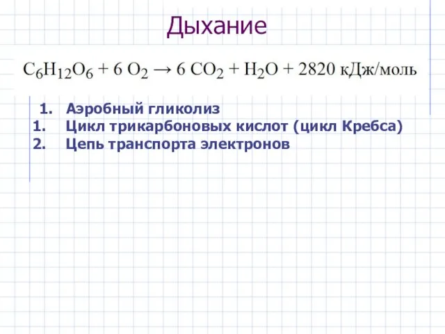 Дыхание 1. Аэробный гликолиз Цикл трикарбоновых кислот (цикл Кребса) Цепь транспорта электронов