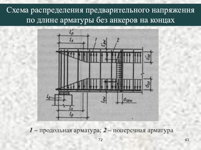 1 – продольная арматура; 2 – поперечная арматура Схема распределения предварительного