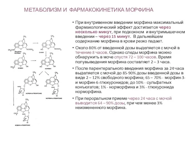 МЕТАБОЛИЗМ И ФАРМАКОКИНЕТИКА МОРФИНА При внутривенном введении морфина максимальный фармакологический эффект